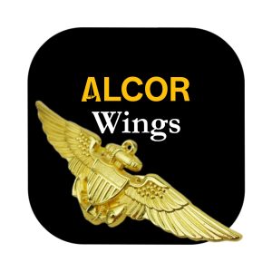Aviator Wings